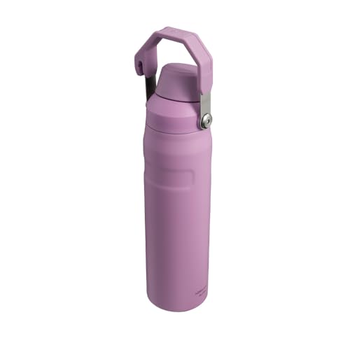 STANLEY Aerolight Iceflow Fast Flow Borraccia 0.6L
