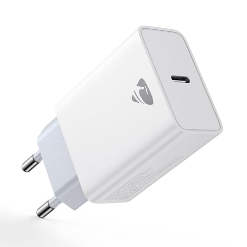 Caricatore USB-C 20W PD Spina Muro per iPhone 16 15 14 Samsung S24 S23