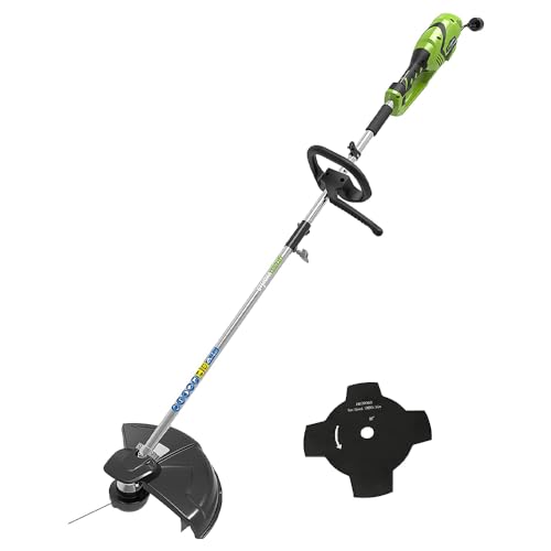 Greenworks Tagliabordi e Decespugliatore Elettrico 1200W GST1246