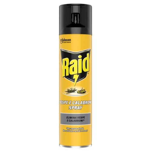 Raid Spray Elimina Vespe e Calabroni 400ml