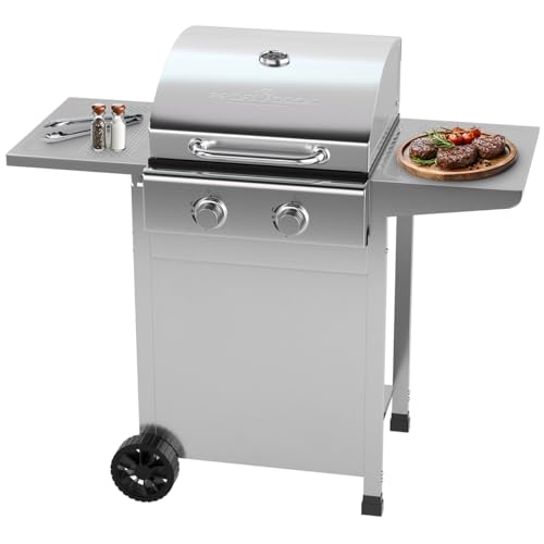 ProfiCook Barbecue a Gas PC GG 1309 con Griglia in Ghisa e 2 Bruciatori