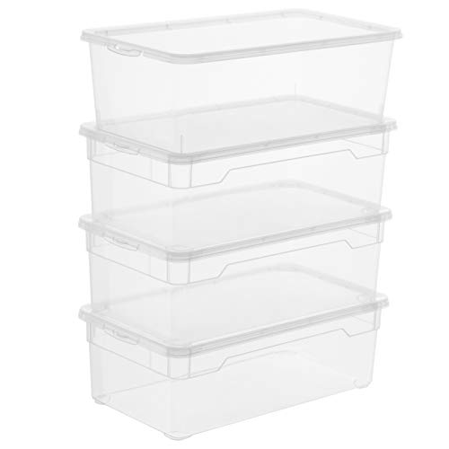 Rotho Clear Set 4 Scatole di Conservazione con Coperchio 5L