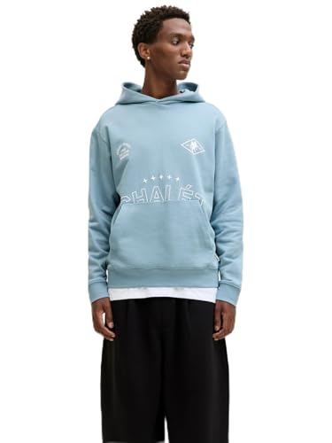 JACK & JONES Jcocrest Print Sweat Hood