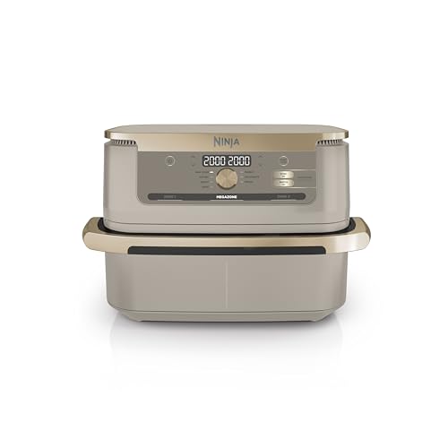 Ninja FlexDrawer, Friggitrice ad Aria 10,4L