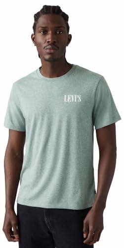 Levi's Graphic Crewneck Tee T-shirt
