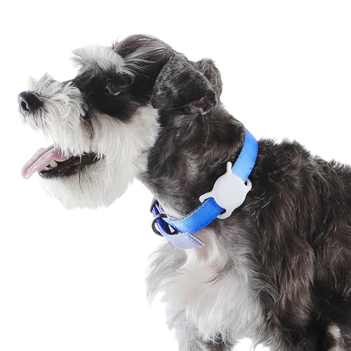 Amazon Basics Supporto per AirTag per Collare Cane, 2 Pezzi