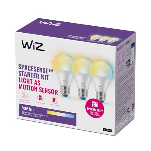 WiZ Lampadina G