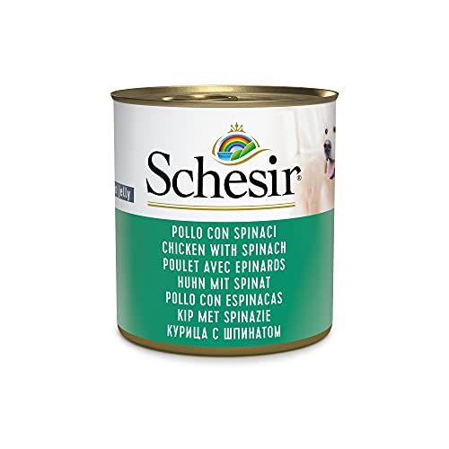 Schesir, Cibo Umido per Cani Adulti al Gusto