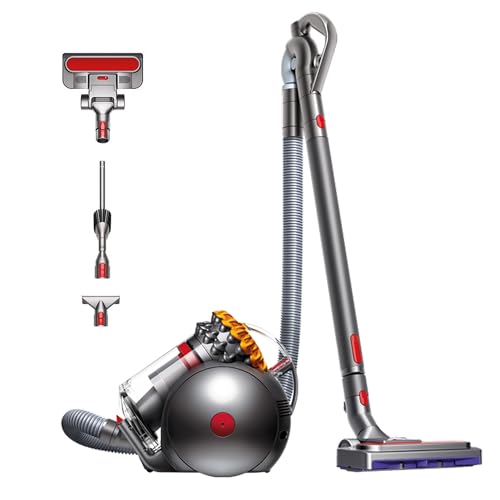 Dyson Big Ball Absolute 2 Aspirapolvere a Traino, 19 Cicloni