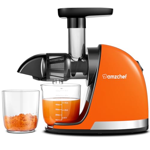AMZCHEF Estrattore di Succo a Freddo Professionale