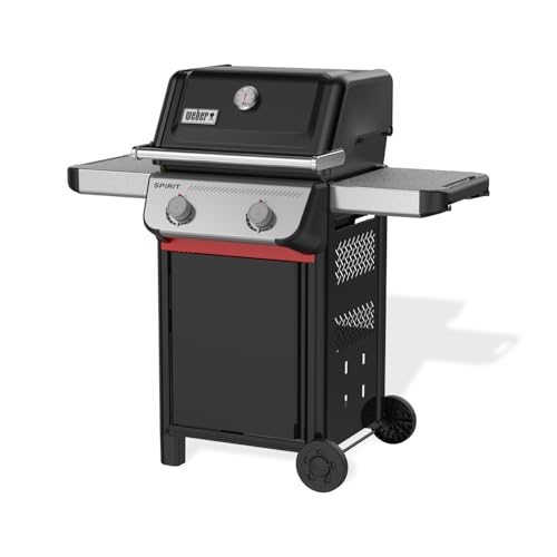 Weber Spirit E-210 Barbecue a Gas con 2 Bruciatori
