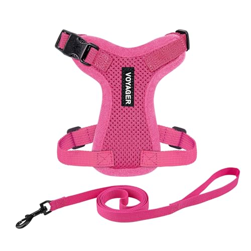 Pettorina Voyager Step-In Best Pet Supplies per gatti con guinzaglio
