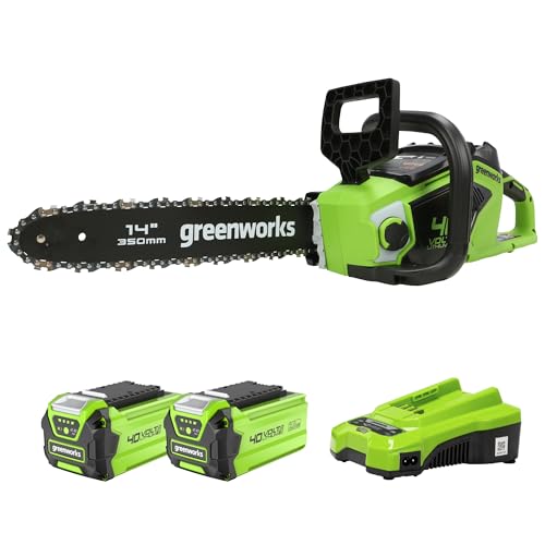 Greenworks 40V 35cm Motosega a Batteria Brushless con 2 Batterie 2Ah