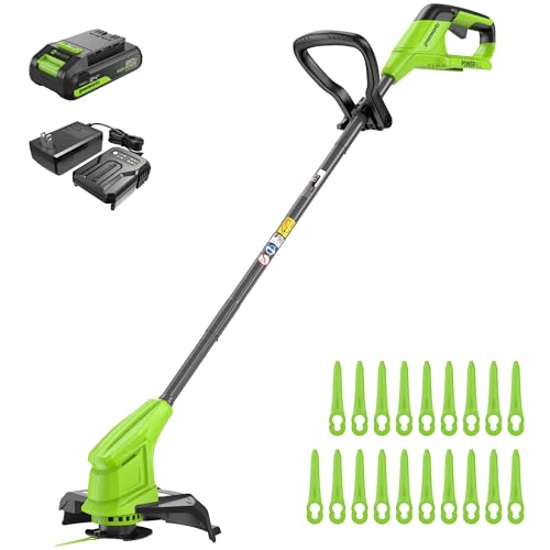 Greenworks Tagliabordi a Batteria 24V con Lame in Plastica da 25 cm