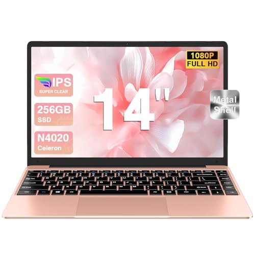 BVate PC Portatile 14 pollici Notebook Win 11 Celeron N4020 256GB Gold