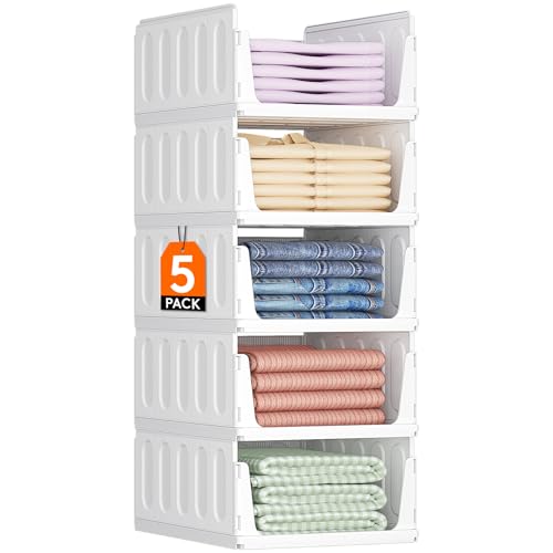 Lifewit Organizer Armadio Interno