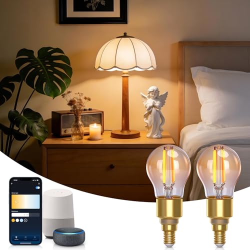 Aigostar Lampadine Led E14 Vintage G45 Ambra Dimmerabile, 2 Unità