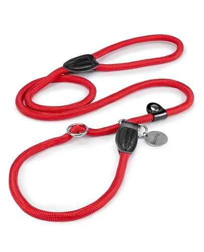 lionto Guinzaglio Retriever per Cani, 120 cm Rosso