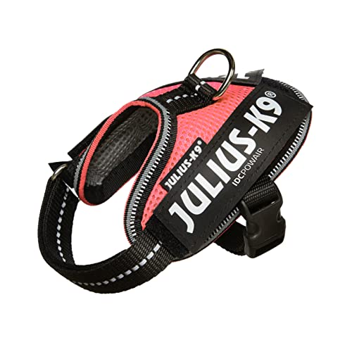 Julius-K9, Pettorina IDC Powair, Taglia: