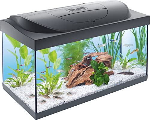 Tetra Starter Line LED 54 l Acquario per principianti