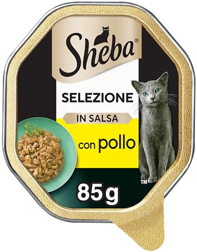 Sheba Selezione in Salsa