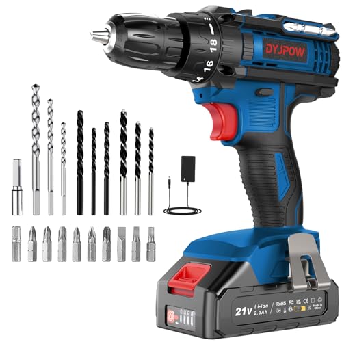 DYJPOW Trapano Avvitatore a Batteria 21V con 2 Batterie 2.0Ah