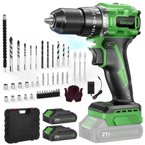 Ginour Avvitatore a Batteria 21V Brushless 50Nm, 2x2.0Ah, 47 Accessori